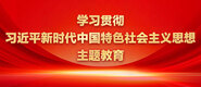 操女三十分钟网站学习贯彻习近平新时代中国特色社会主义思想主题教育_fororder_ad-371X160(2)